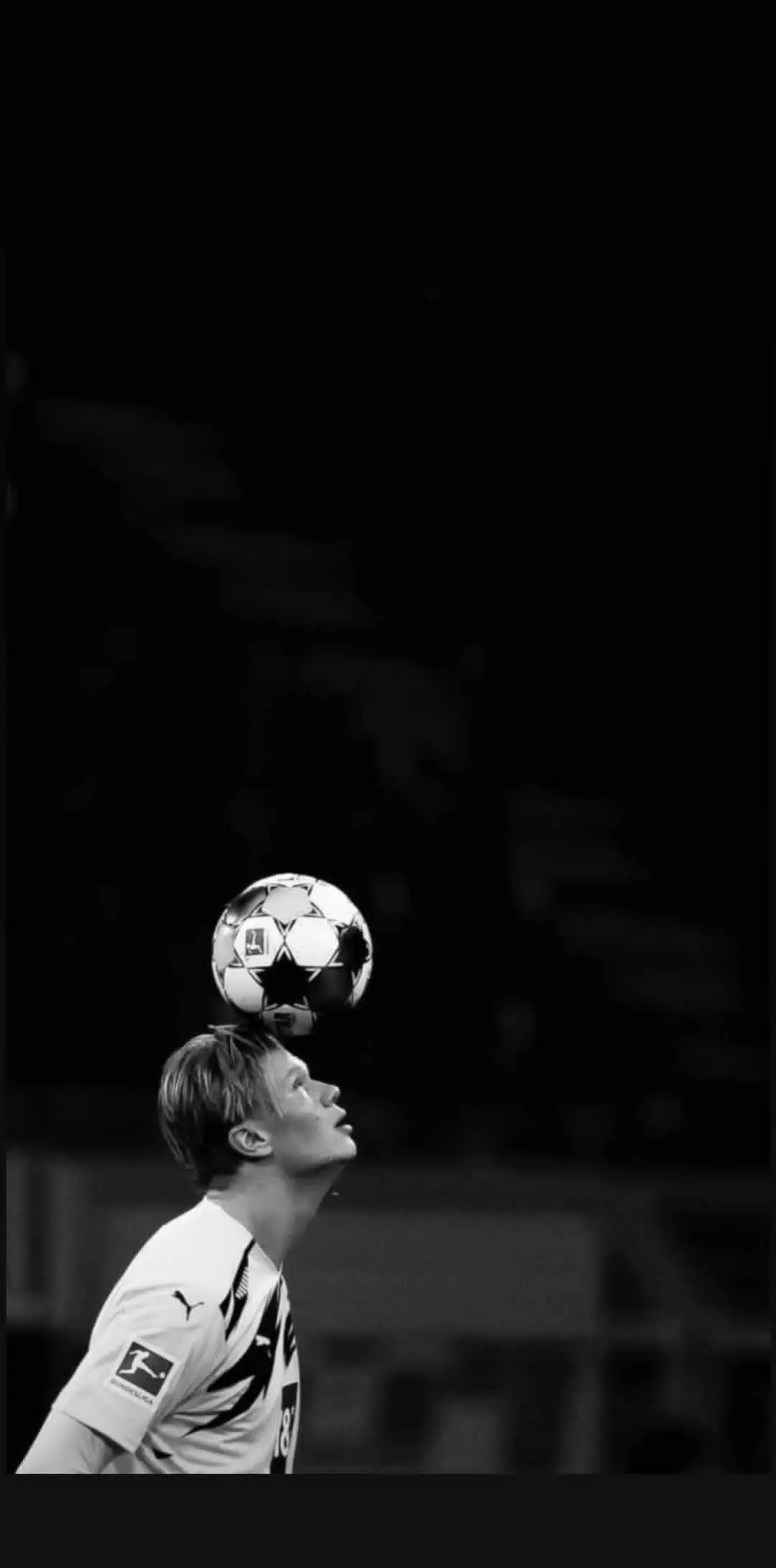 Erling Halaand Wallpaper